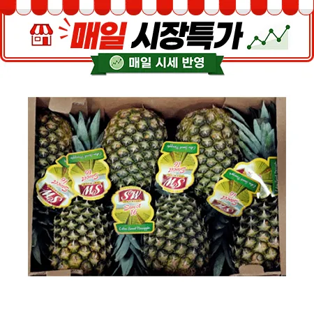 ★매일시장특가★ 골드파인애플( 6-7수 12Kg/BOX)