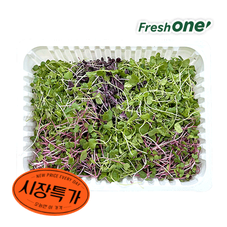 ★매일시장특가★혼합베이비채소(국산 500g/EA)