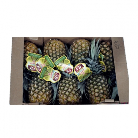 골드파인애플(7수 12Kg/BOX)/필리핀산