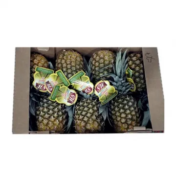 골드파인애플(7수 12Kg/BOX)/필리핀산