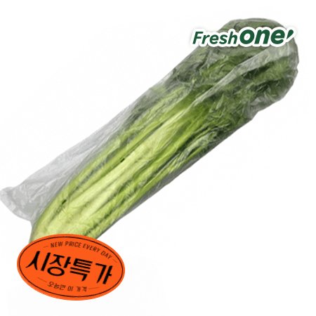 ★매일시장특가★ 샐러리(상 1Kg/EA) 셀러리 초특가 채소 야채