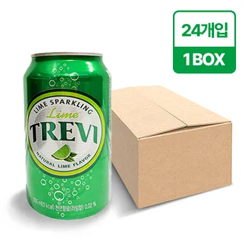트레비 탄산수(라임 캔 355ml*24EA/BOX)