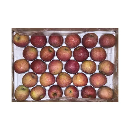 ★매일시장특가★ 사과(무선별 40-60과 10Kg/BOX) 흠과 뷔페용 소스용