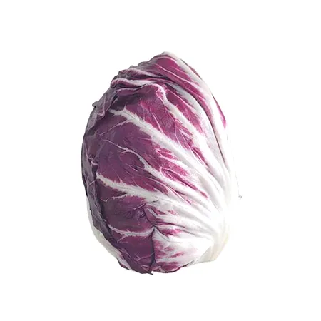 ★매일시장특가★ 프레시원 라디치오 국내산 ( 상 300g/EA) 초특가 채소 야채 이미지