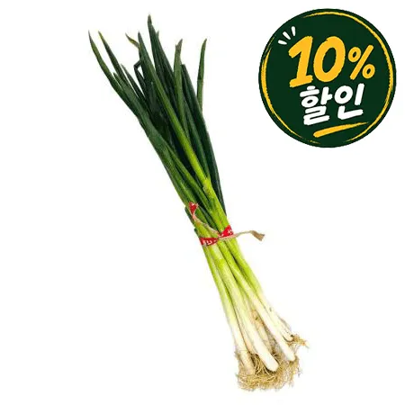★매일시장특가★ 흙대파 (실속, 1단, 국내산)