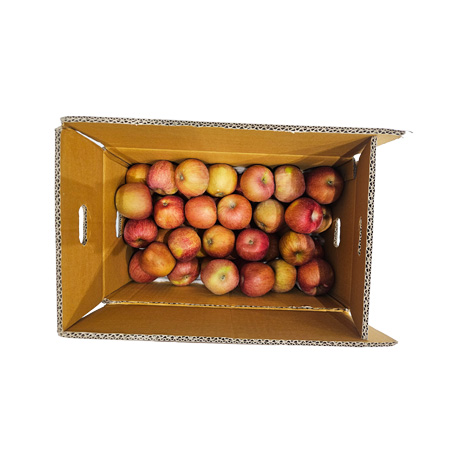 사과(51~60과 10Kg/BOX)