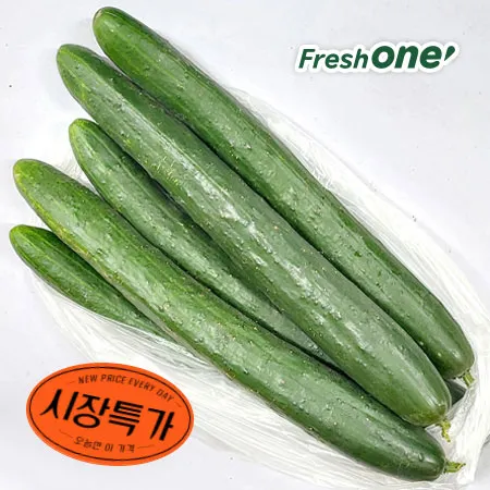 ★매일시장특가★ 프레시원 취청오이(상, 5입 내외/1Kg)