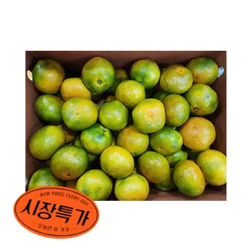 ★매일시장특가★ 감귤 (L_40~46과 5Kg/BOX) 녹색과일부포함 과일 초특가 카페 생과