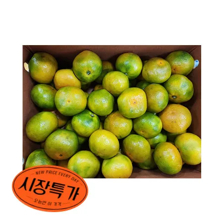 ★매일시장특가★ 감귤 (L_40~46과 5Kg/BOX) 녹색과일부포함 과일 초특가 카페 생과