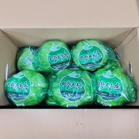 국산 양상추 12입/BOX (겉잎미제거) 이미지