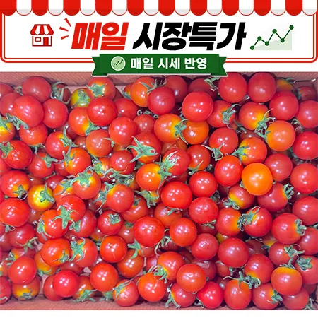★매일시장특가★방울토마토(10~15g/개 5Kg/BOX)