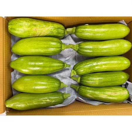 애호박(특 강서청과 176번 6Kg/BOX)