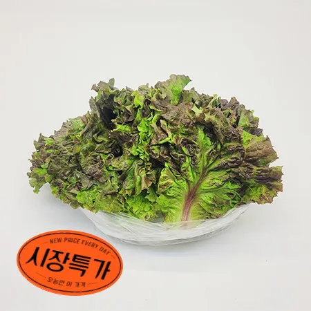 ★매일시장특가★ 프레시원 꽃상추 ( 500g/EA) 초특가 야채 채소 상추