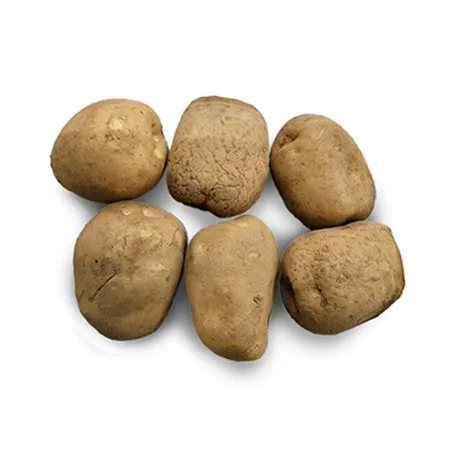 ★매일시장특가★ 프레시원 감자 대 1Kg (80g이상/개) 이미지