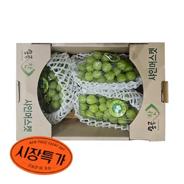 ★매일시장특가★ 샤인머스캣(3~4수 2Kg/BOX) 초특가 과일 데코용 카페 생과