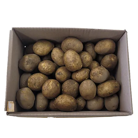 ★매일시장특가★ 감자 대 5Kg/BOX (80g이상/개) 이미지