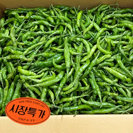 ★매일시장특가★ 꽈리고추(상 4KG/BOX) 초특가 채소 야채 고추 꽈리 