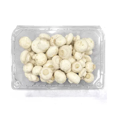 ★매일시장특가★ 양송이버섯(실속 500g/EA) 초특가 채소 야채 양송이 버섯 이미지