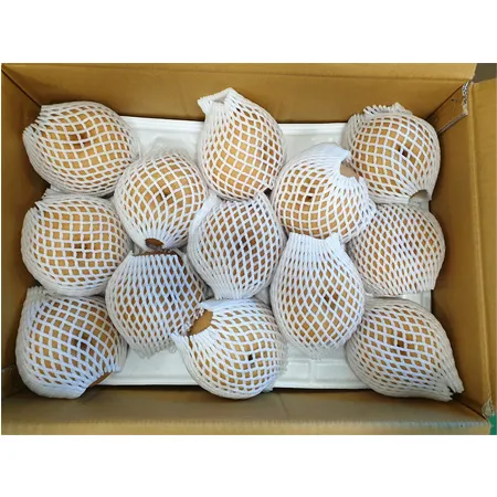 배(상품 16~20과 15Kg/BOX)/국내산