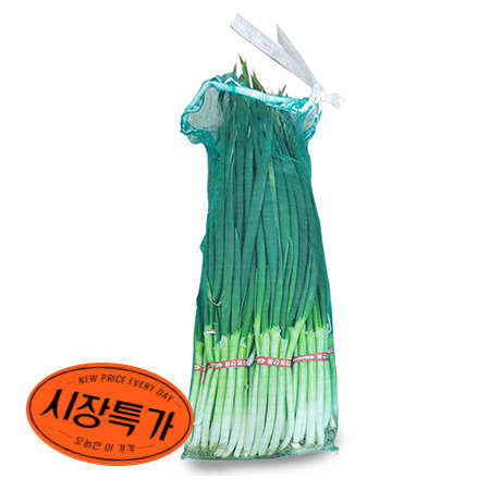 ★매일시장특가★ 흙대파 국산 왕대 10단 초특가 대파