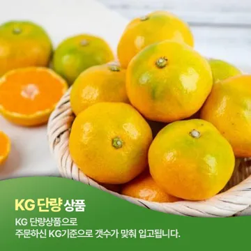 감귤(M_10~11과 1Kg/EA)/국내산
