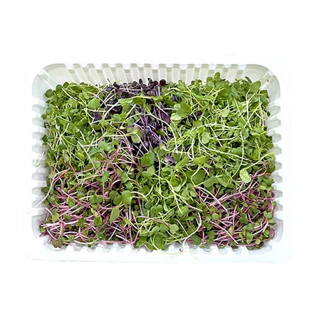 [10%쿠폰] 혼합베이비채소 (국산 500g/EA) 이미지