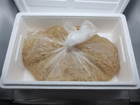 태화 노란해파리(무염_수율40% 10Kg/BOX)