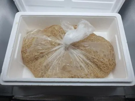 태화 노란해파리(무염_수율40% 10Kg/BOX)