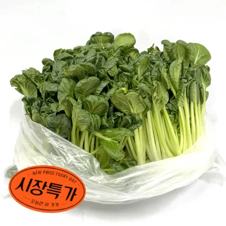 ★매일시장특가★ 비타민(상 500g/EA) 초특가 채소 야채