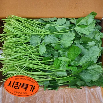 ★매일시장특가★ 참나물(상 4Kg/BOX) 초특가 채소 야채