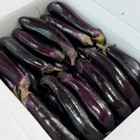 가지(특 강서청과 176번 8Kg/BOX)