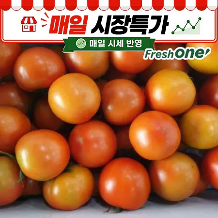 프레시원 완숙 토마토 (4번과 이하, 34-50과/5Kg)