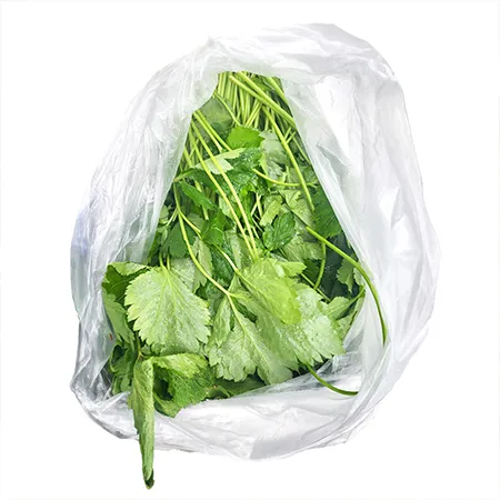 ★매일시장특가★ 참나물(상 500g/EA) 초특가 채소 야채 이미지