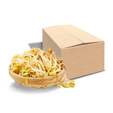 곱슬이 콩나물(단채 3.5Kg/BOX) 외국산