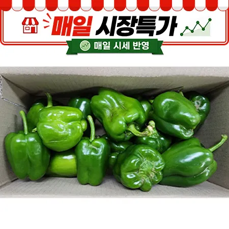 ★매일시장특가★ 청피망 (실속, 1Kg/EA) 못난이
