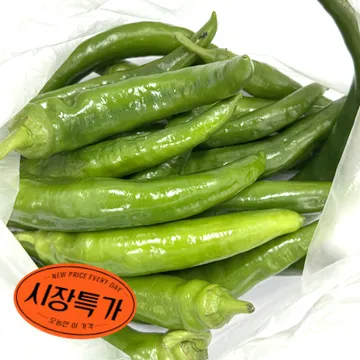 ★매일시장특가★ 아삭이고추(상 500g/EA) 오이고추 초특가 채소 야채 고추 아삭이