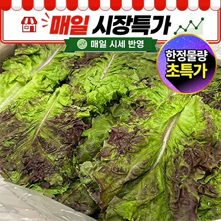 ★매일시장특가★ 적상추(국내산, 상, 4Kg/BOX)