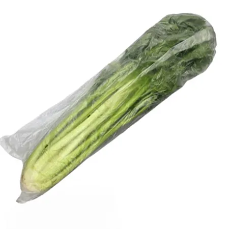 ★매일시장특가★ 샐러리(상 1Kg/EA) 셀러리 초특가 채소 야채 이미지