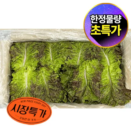 ★매일시장특가★ 적상추(국내산, 상, 4Kg/BOX)