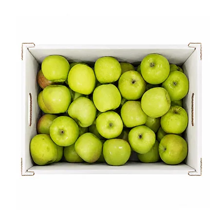 아오리사과 (10Kg/BOX)