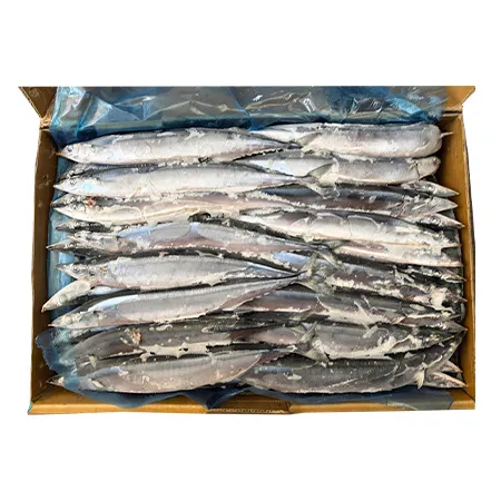 꽁치(온라인용 1번 9.88Kg/BOX)