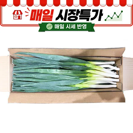 ★매일시장특가★ 깐대파(중국산 10Kg/BOX) 대파