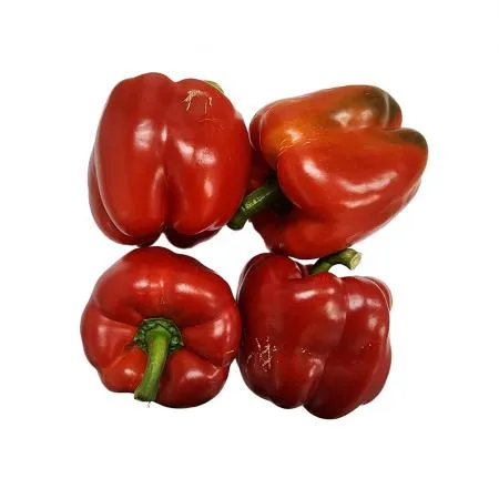 빨강파프리카 (강서, 실속 1Kg/EA)