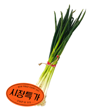 ★매일시장특가★ 국산 흙대파 실속 1단 초특가행사 대파