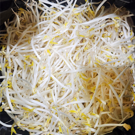 재우 숙주나물(3.5Kg/Kg출고)