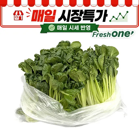 ★매일시장특가★ 프레시원 비타민(상 500g/EA)