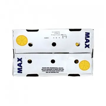 레몬(140과 17Kg/BOX)/칠레산