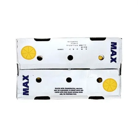 레몬(140과 17Kg/BOX)/칠레산