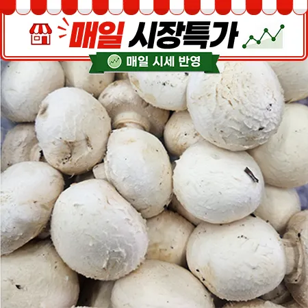 ★매일시장특가★ 양송이버섯 500g (중국산)