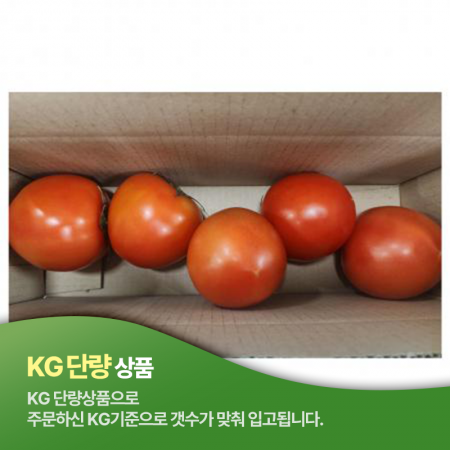  토마토(완숙_2~3번구 5-7과  1KG/EA) 